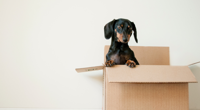 Stuck In a Box?