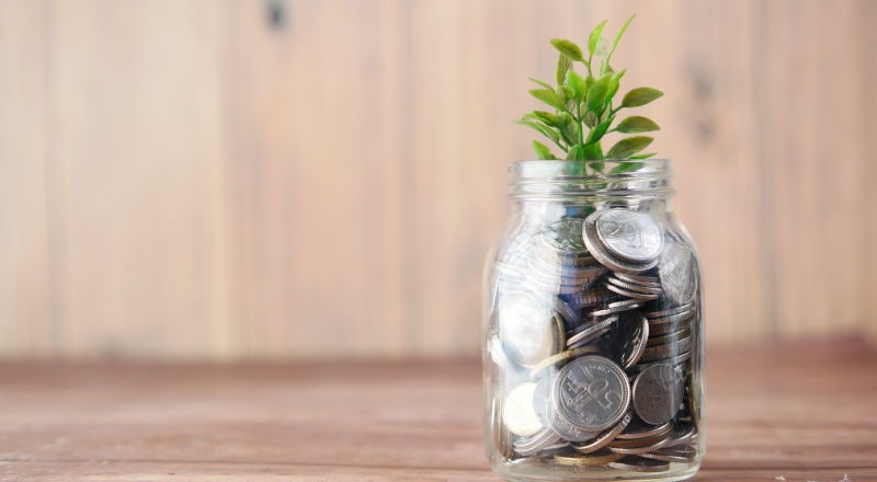 Case Study: Solving the Retirement Income Puzzle