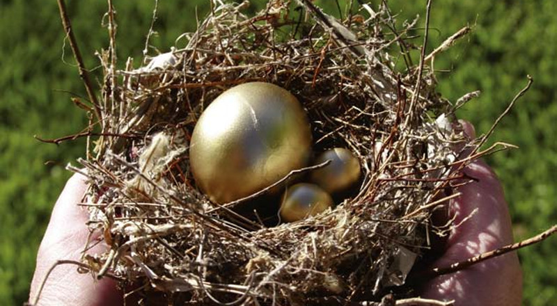 The Goose and the Basket of Golden Eggs