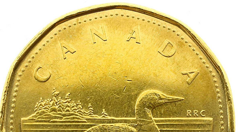 The Loonie