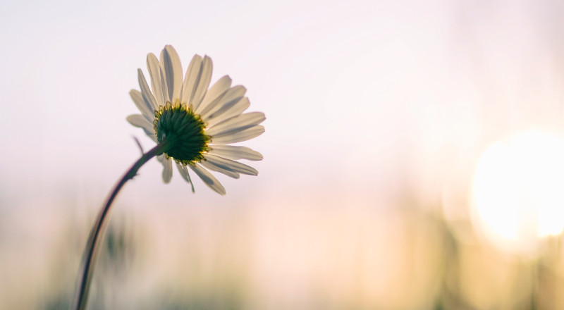The Miracle of Life Insurance