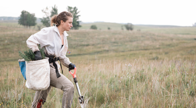 How Businesses Can Help Restore Nature and Drive Profits