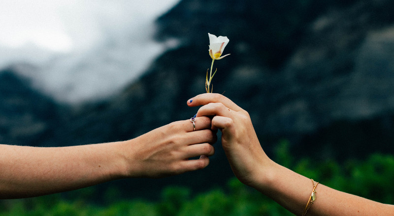 Not for Profit – An Abundance of Opportunity