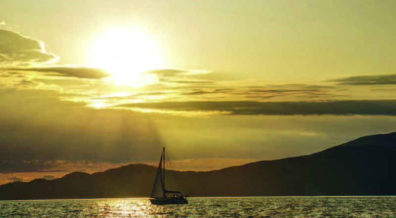 Navigating Stormy Seas