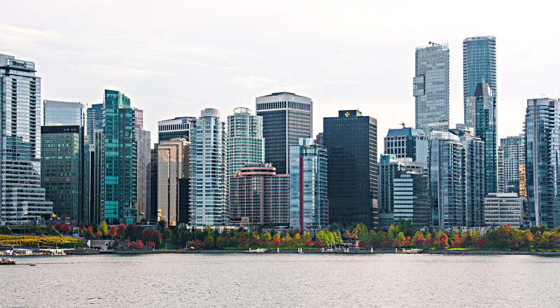 The Basics of REITs