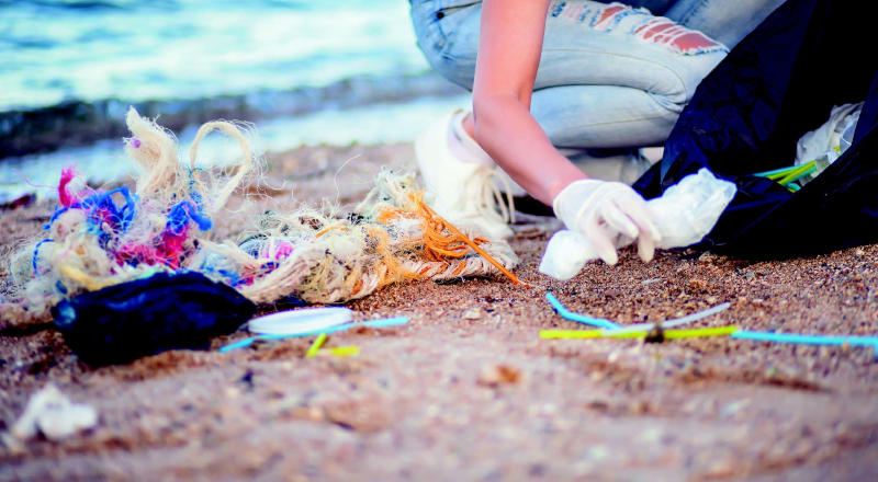 Make a Difference with Ocean Wise